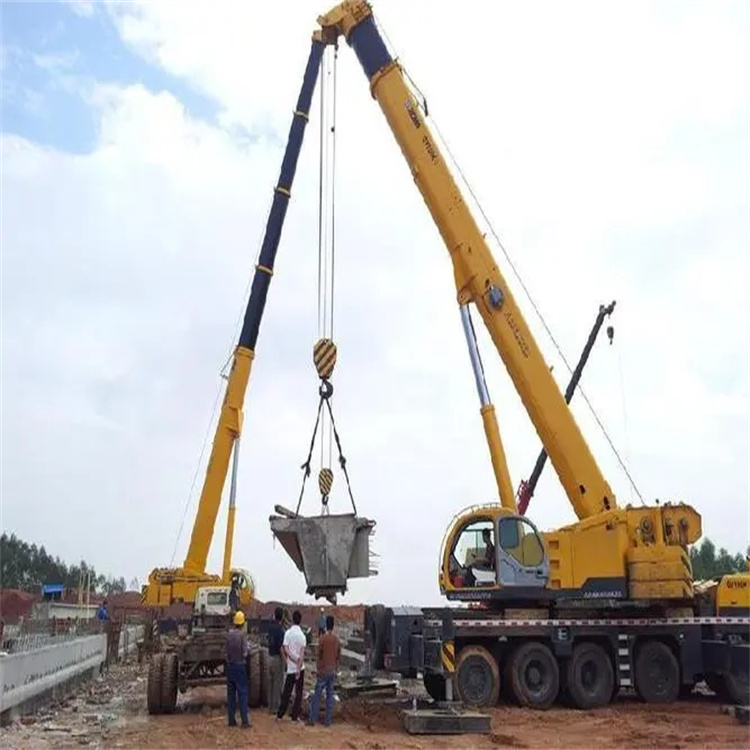 台山小型吊机出租电话|厂房设备吊装方案|24小时服务覆盖